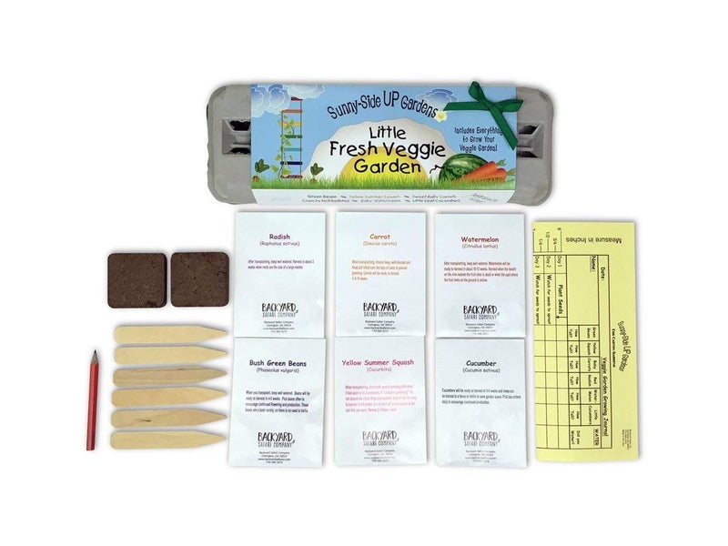 Backyard Safari Company Sunny-Side Up Gardens  Little Fresh Veggie Garden - Image 2